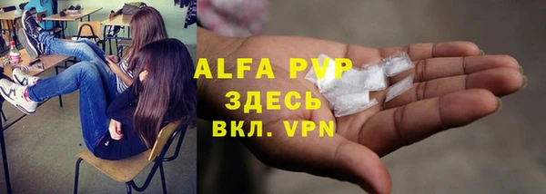 стаф Костерёво