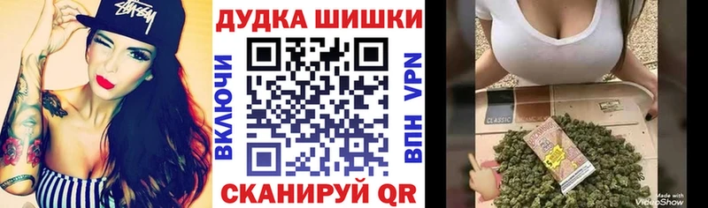 Купить где Нижнеудинск Шишки марихуана ГИДРОПОН